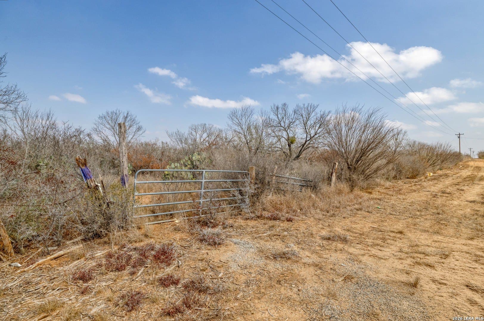 68 acres in Frio County - photo 5