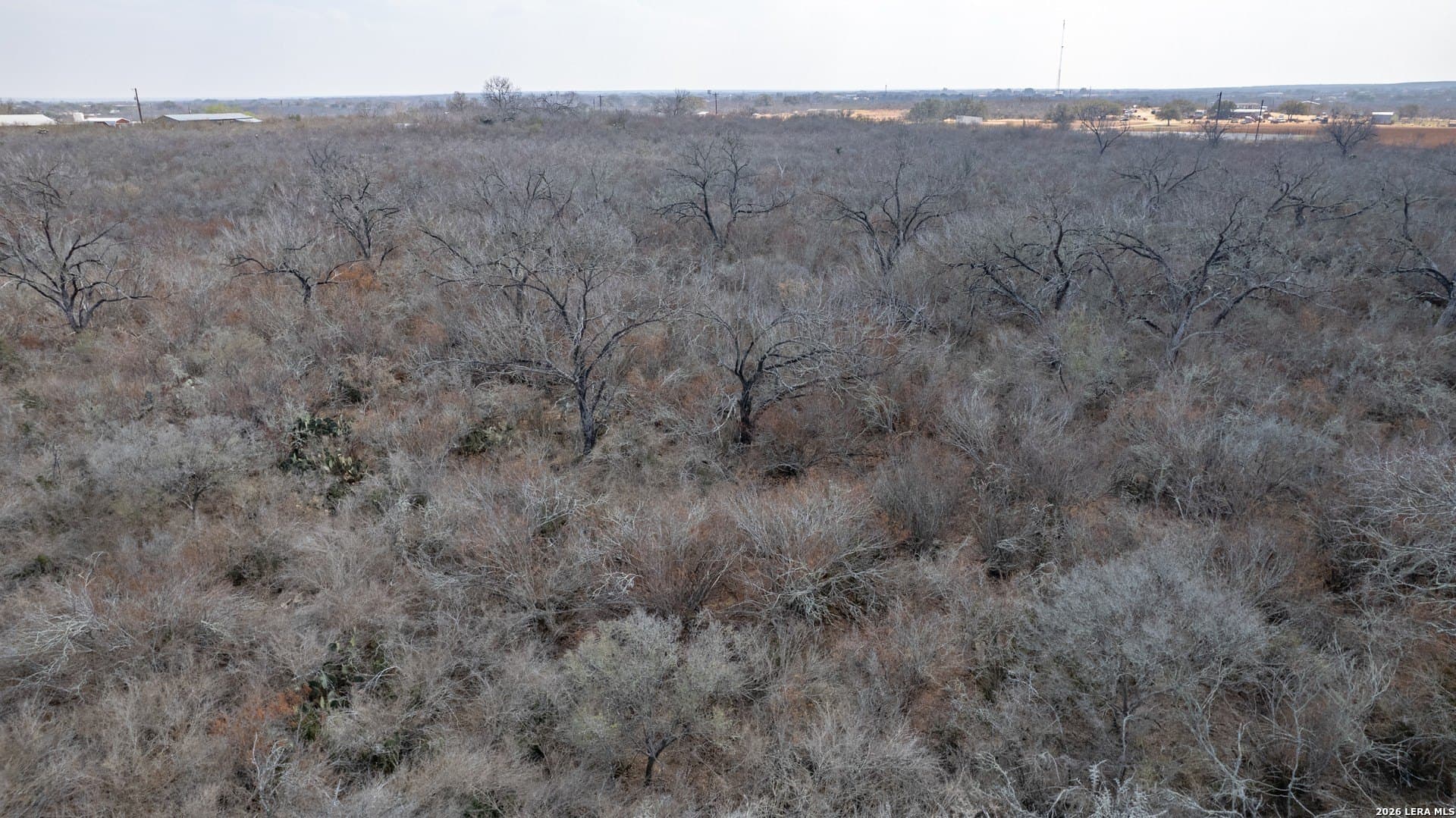 68 acres in Frio County - photo 14