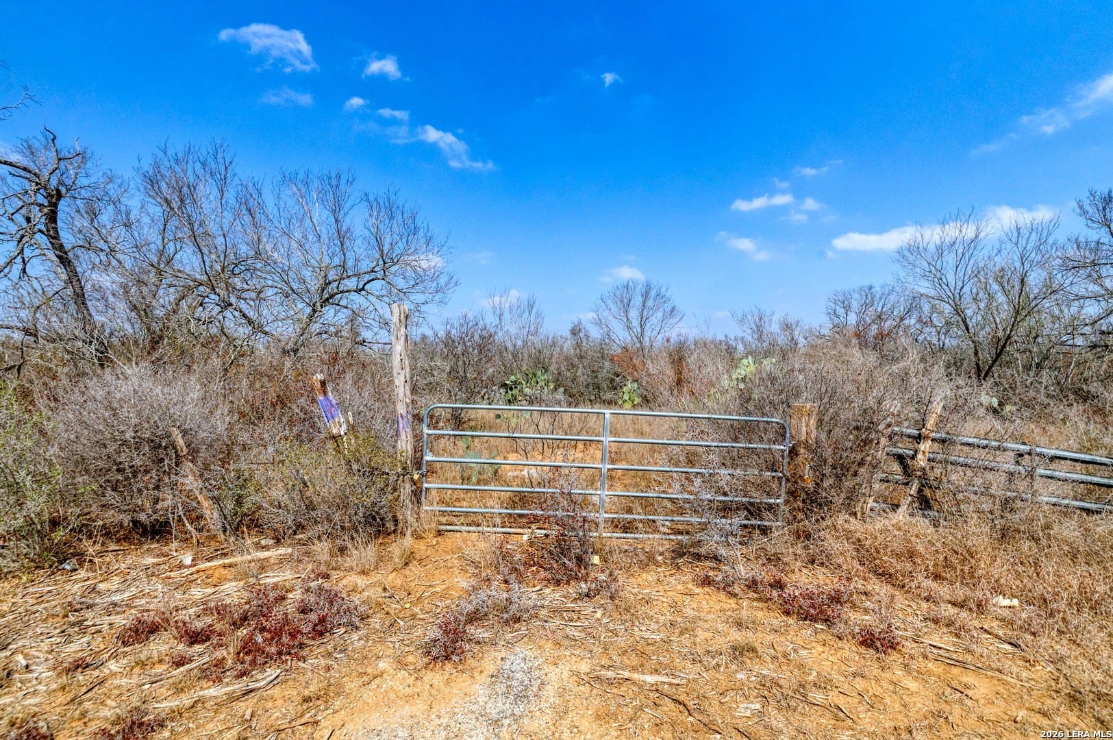 68 acres in Frio County - photo 6