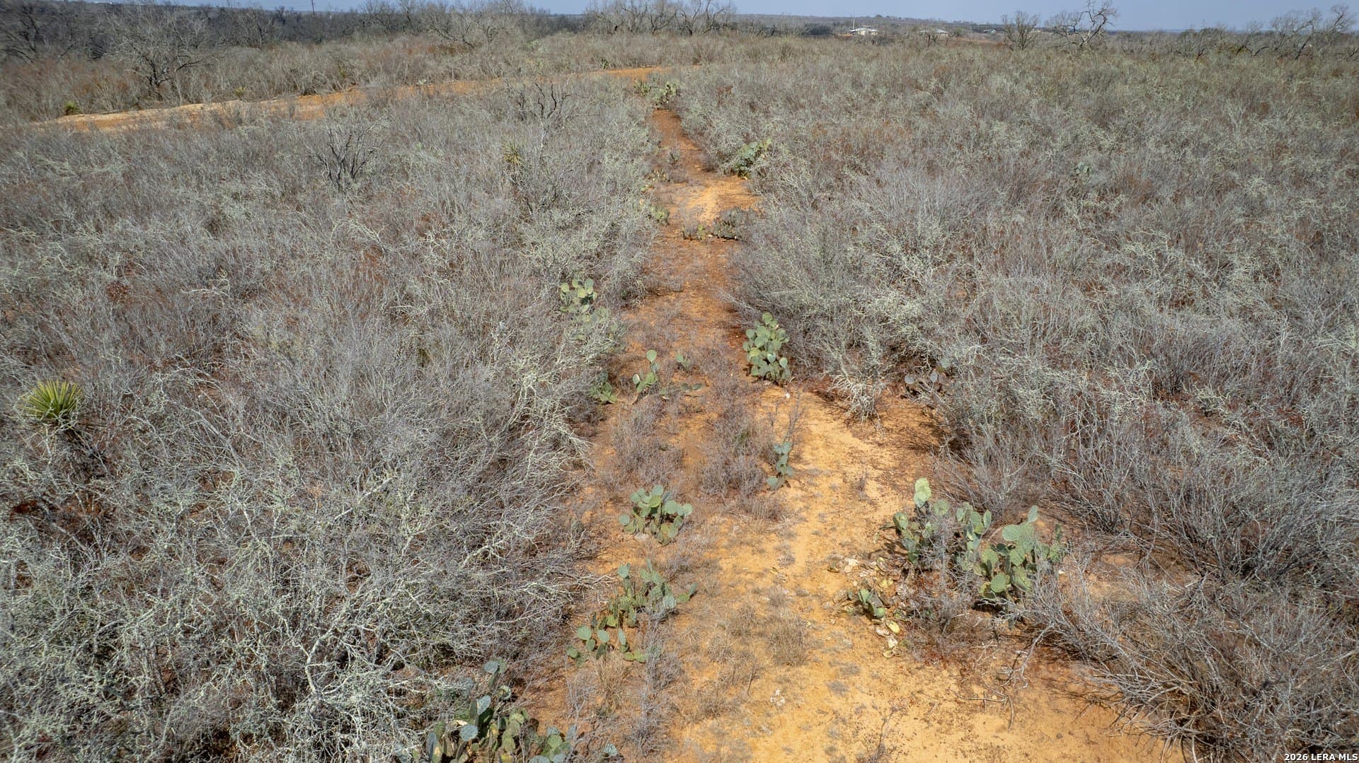 68 acres in Frio County - photo 16