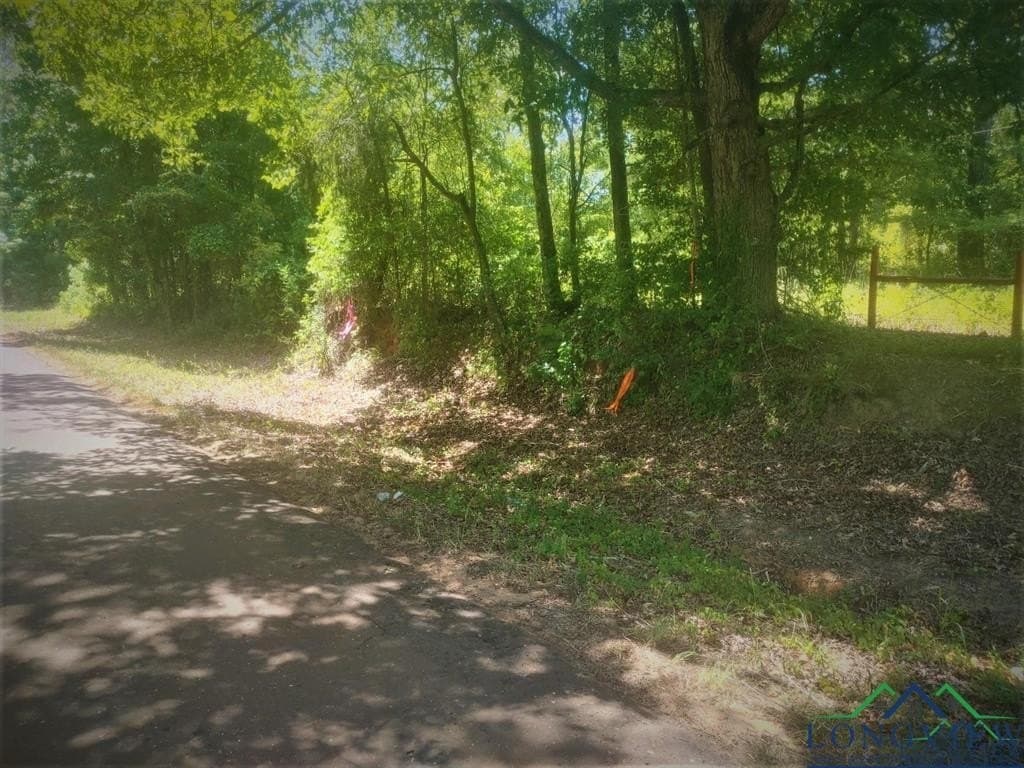 13.06 acres in Harrison County - photo 9