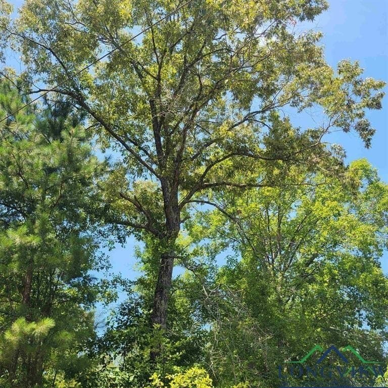 13.06 acres in Harrison County - photo 2