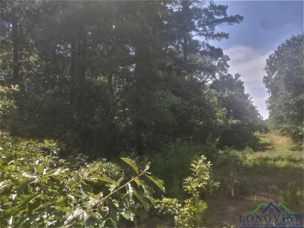 13.06 acres in Harrison County - photo 8