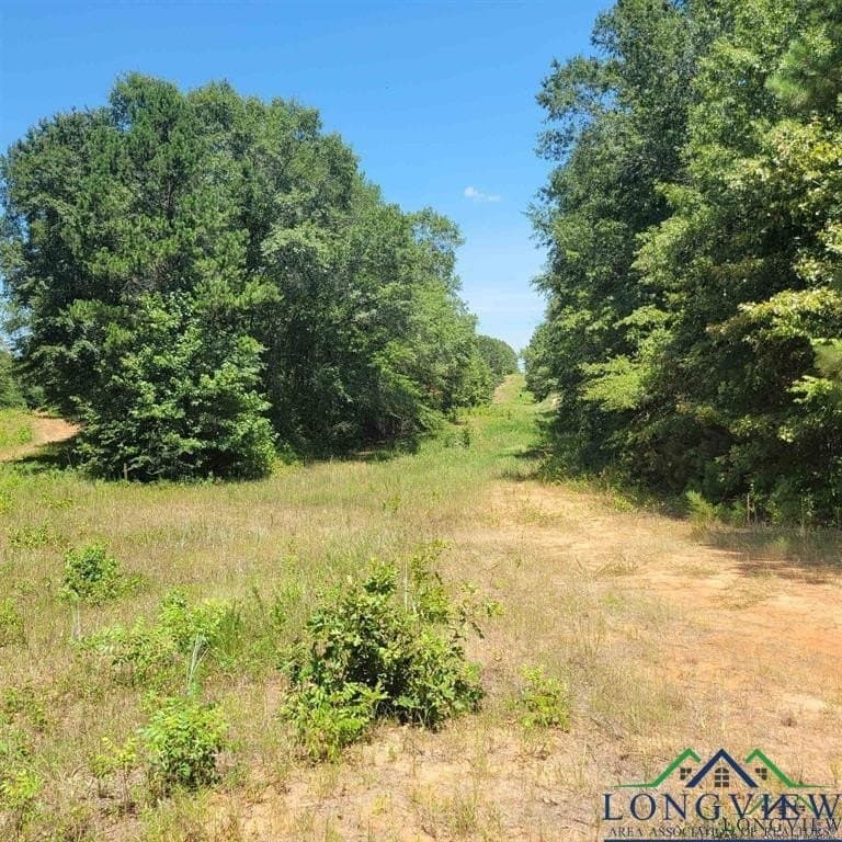 13.06 acres in Harrison County - photo 5