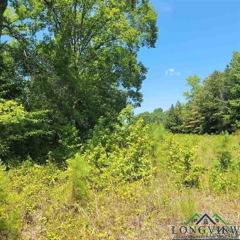 13.06 acres in Harrison County - photo 4