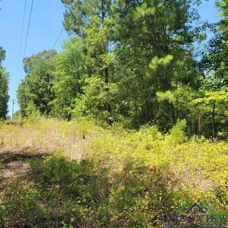 13.06 acres in Harrison County - photo 3