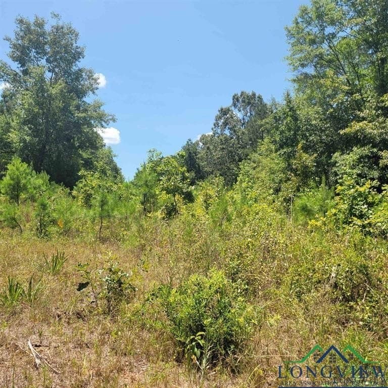 13.06 acres in Harrison County - photo 6