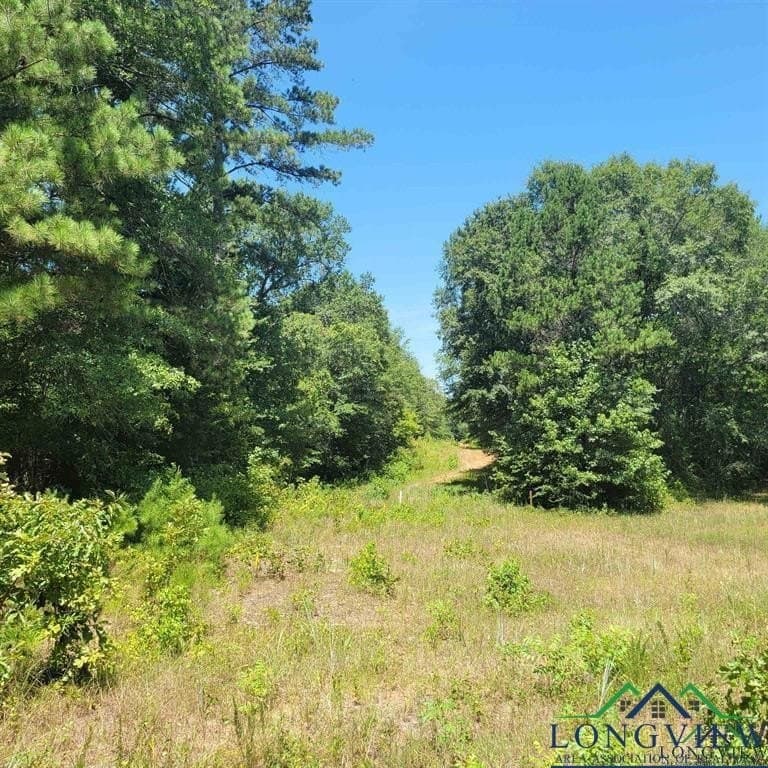 13.06 acres in Harrison County - photo 7
