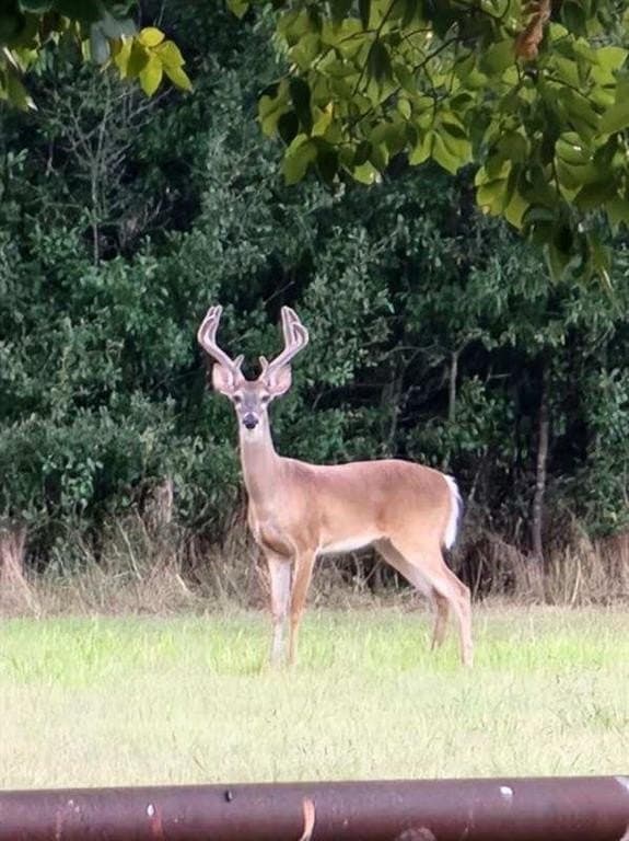 2.02 acres in Rockwall County - photo 3