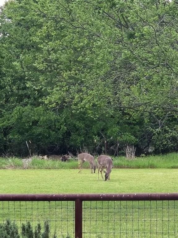 2.02 acres in Rockwall County - photo 4