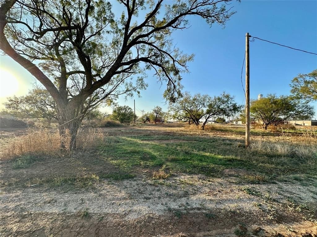 1.19 acres in Taylor County - photo 3