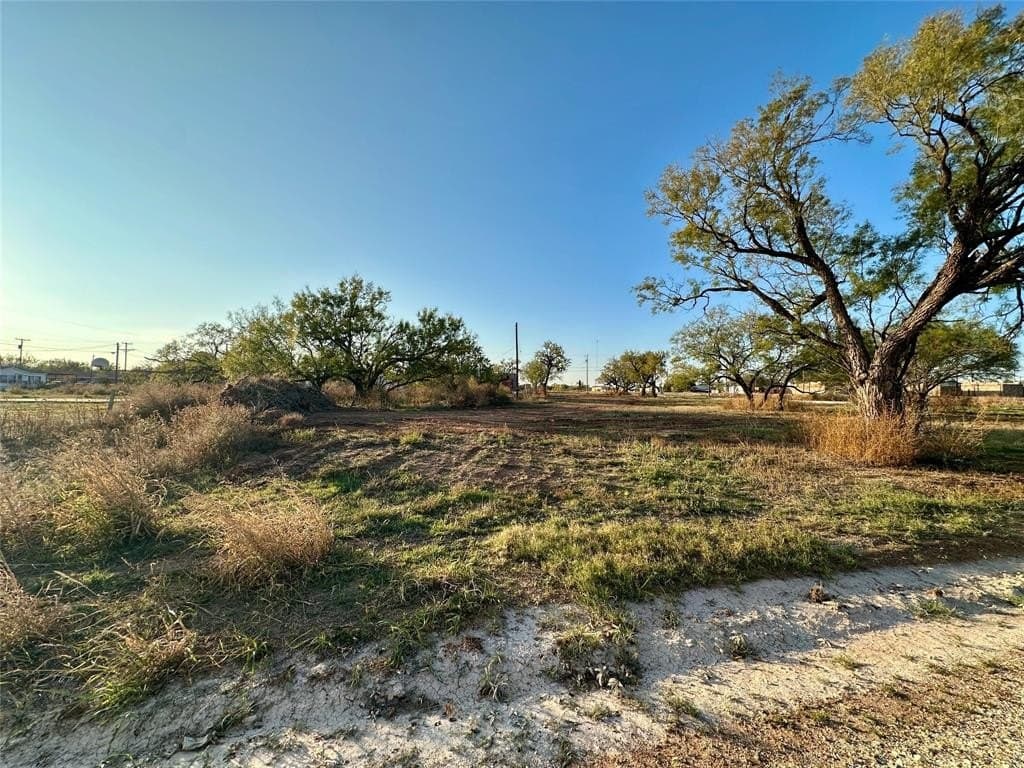 1.19 acres in Taylor County - photo 4