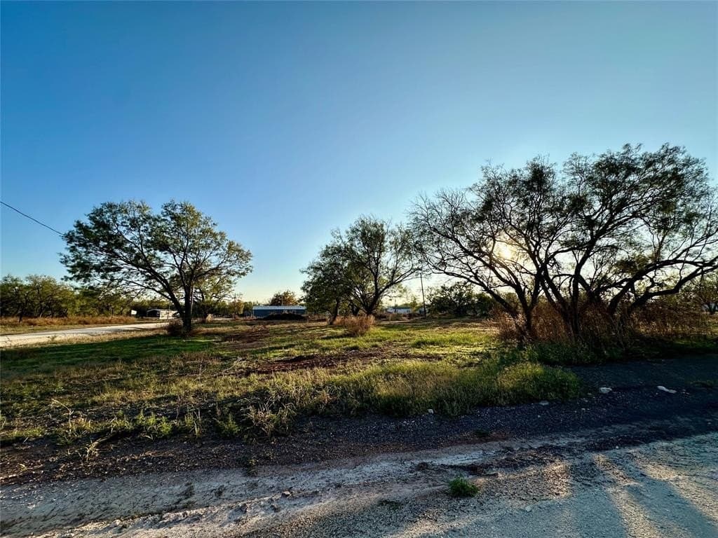 1.19 acres in Taylor County - photo 2