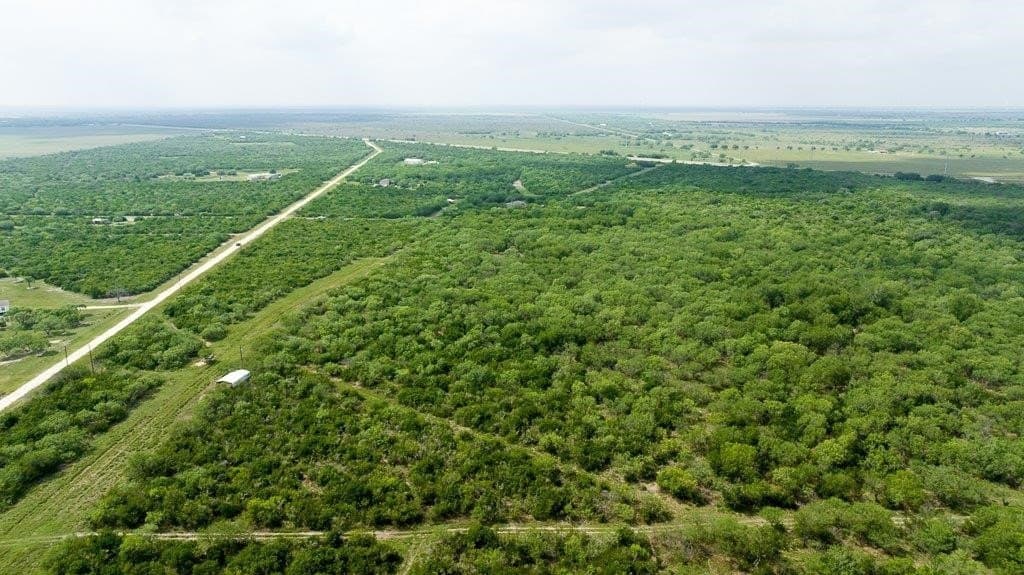 33.57 acres in Bee County - photo 20