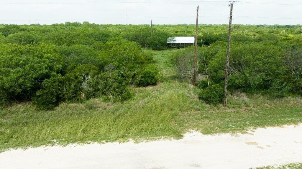 33.57 acres in Bee County - photo 2