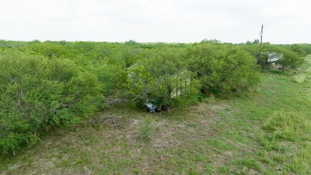 33.57 acres in Bee County - photo 3