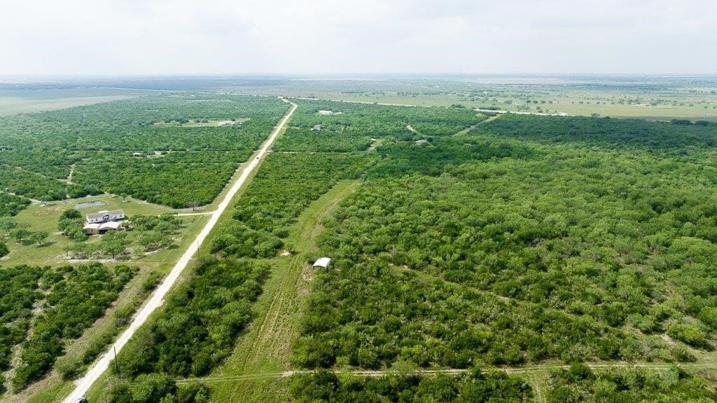 33.57 acres in Bee County - photo 21