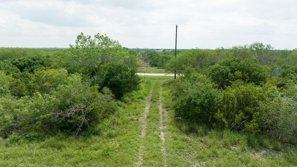 33.57 acres in Bee County - photo 9
