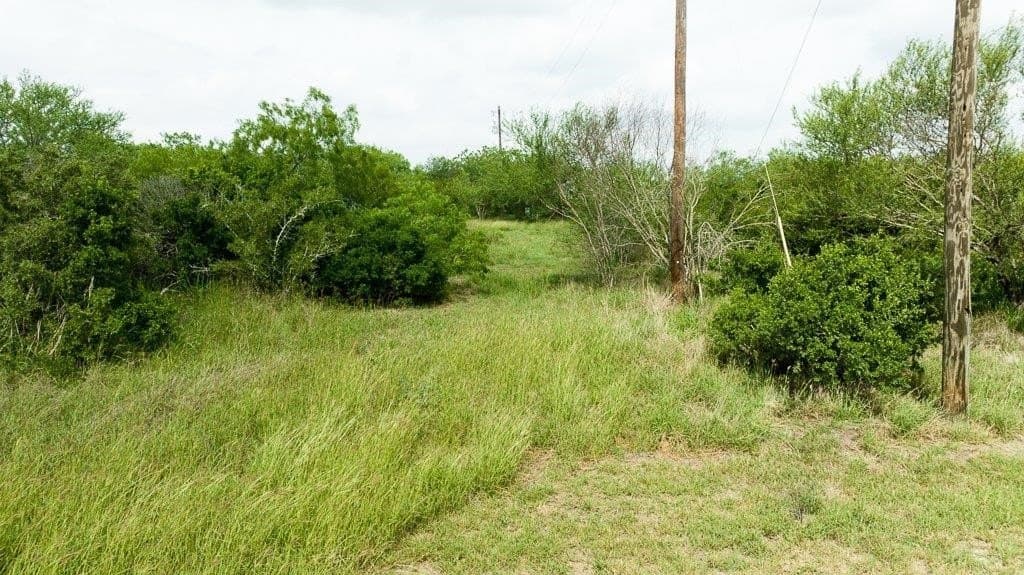 33.57 acres in Bee County - photo 10
