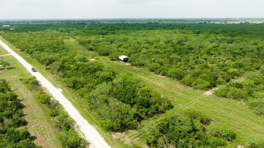 33.57 acres in Bee County - photo 19