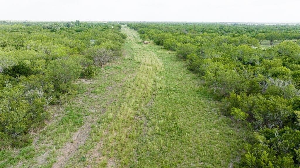 33.57 acres in Bee County - photo 18