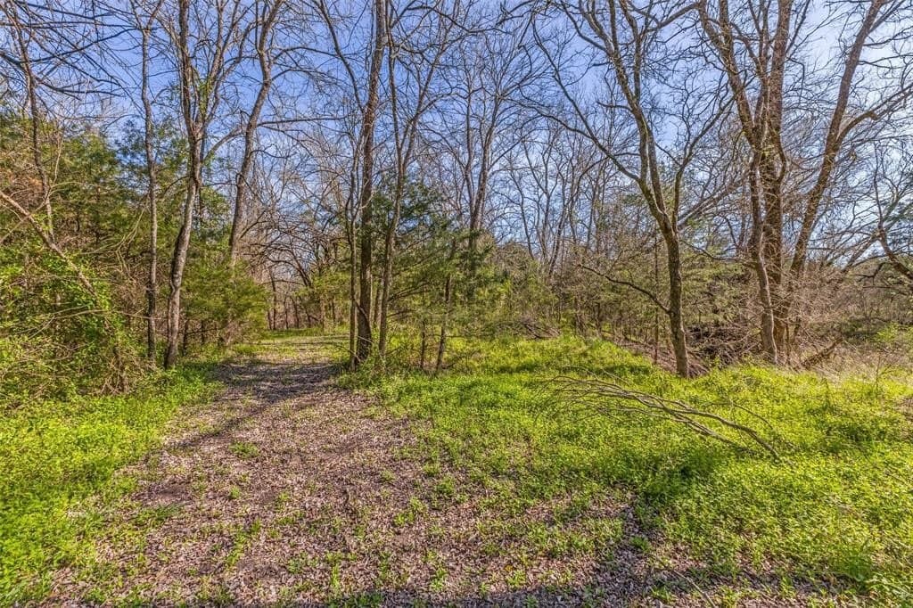 47 acres in Collin County - photo 39