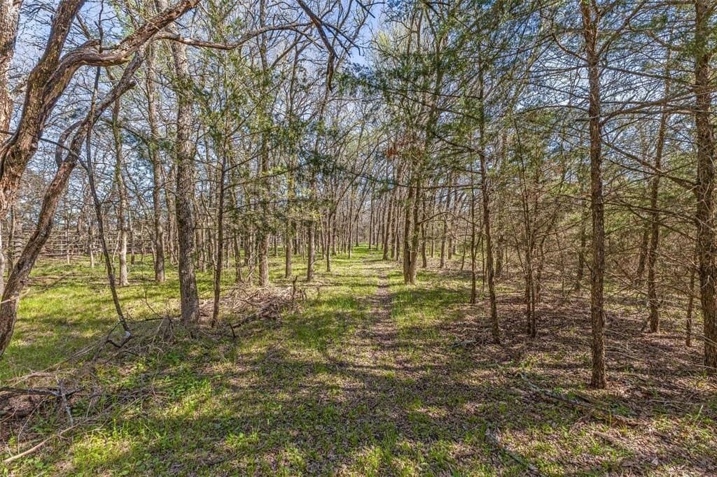 47 acres in Collin County - photo 38