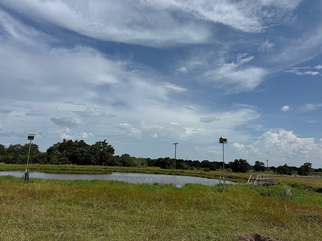 10.68 acres in Fayette County - photo 4
