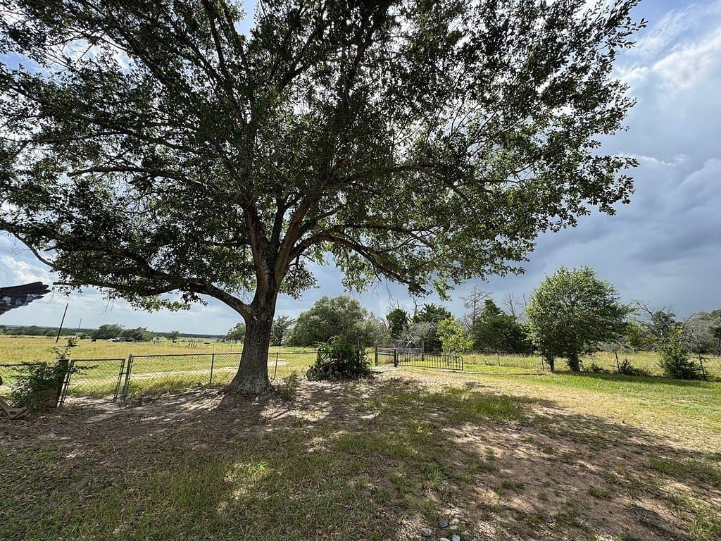 4317 Farm To Market Road 955