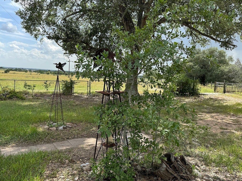 10.68 acres in Fayette County - photo 3