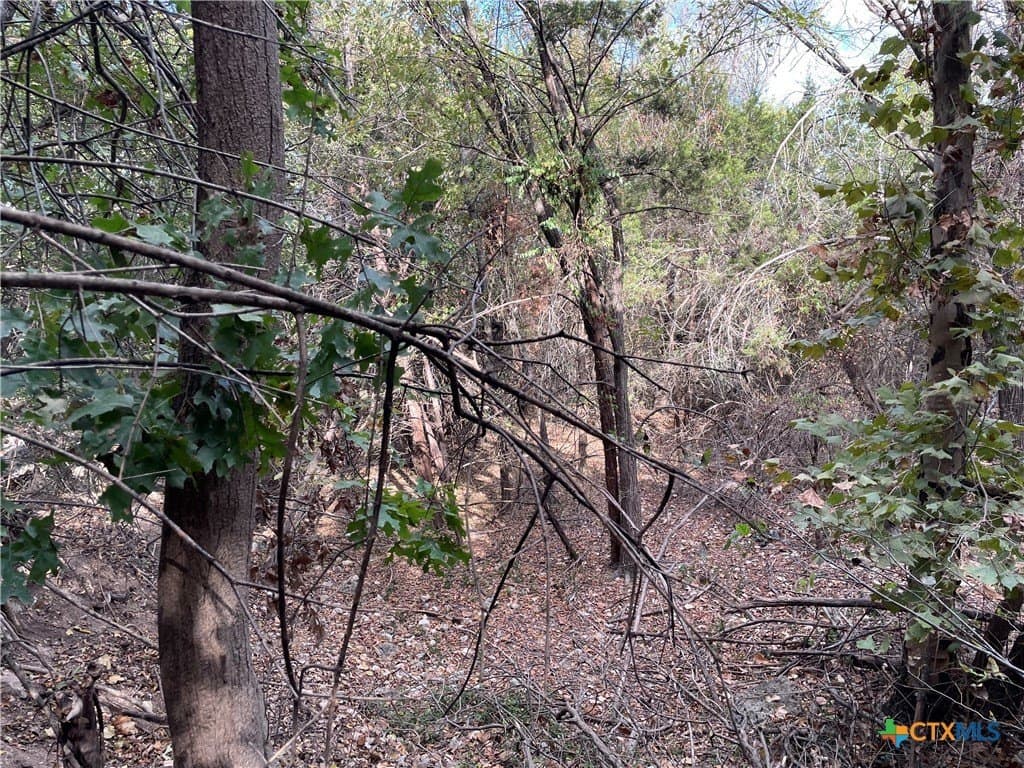 0.62 acres in Coryell County - photo 10