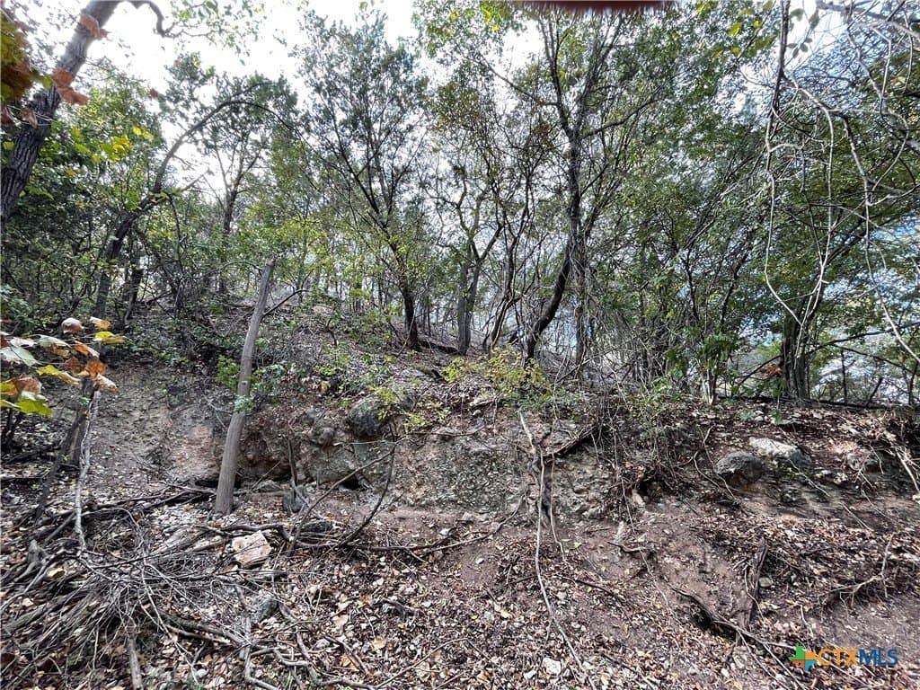 0.62 acres in Coryell County - photo 13