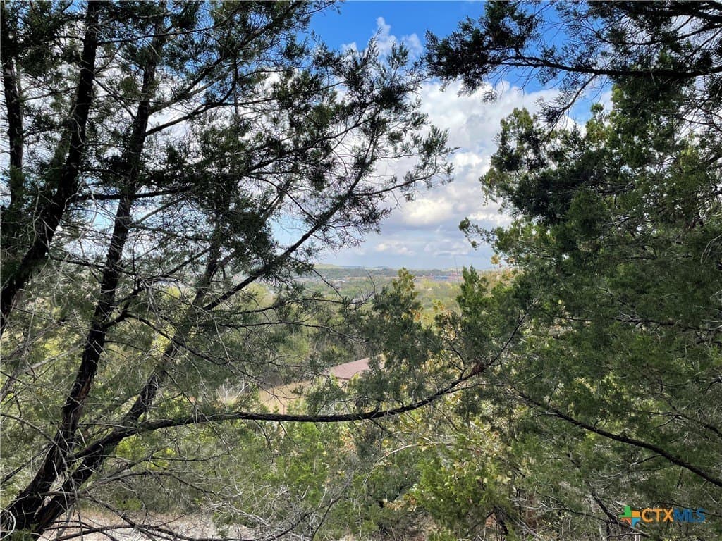 0.62 acres in Coryell County - photo 5