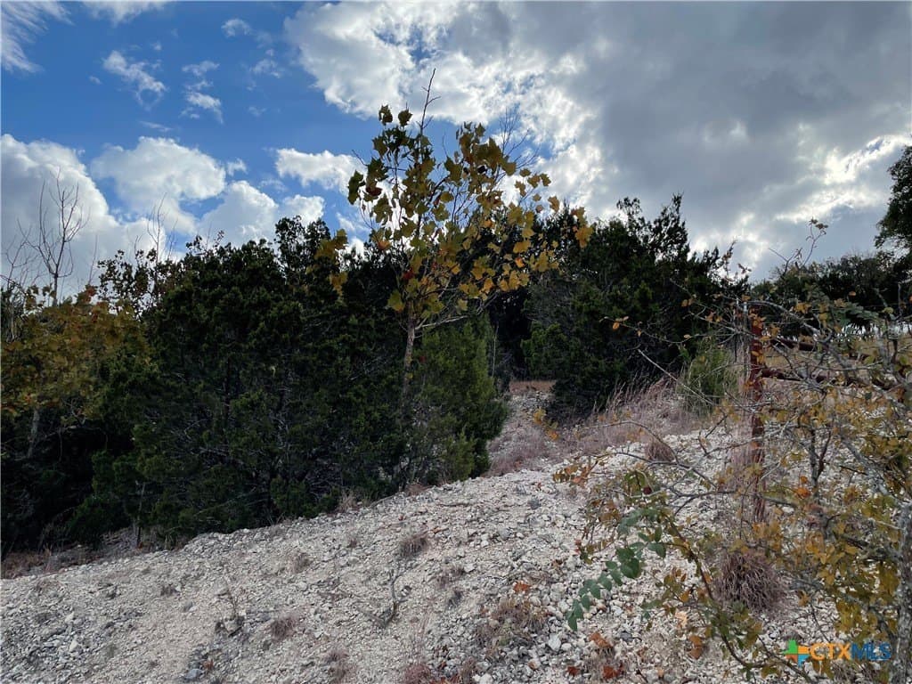 0.62 acres in Coryell County - photo 8