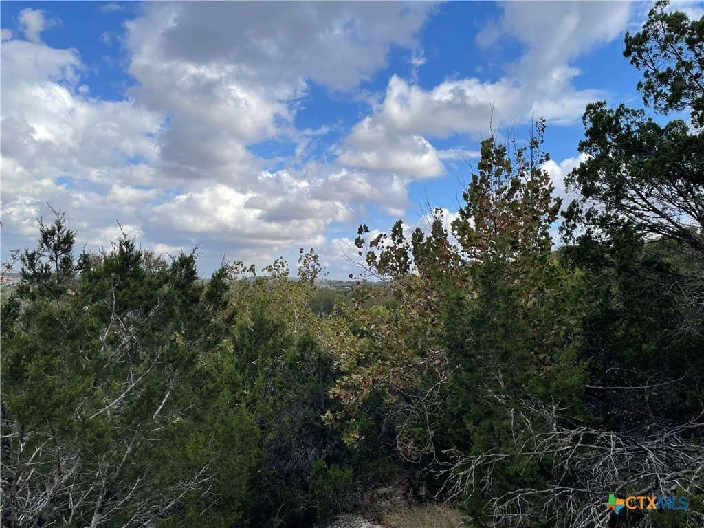 0.62 acres in Coryell County - photo 4