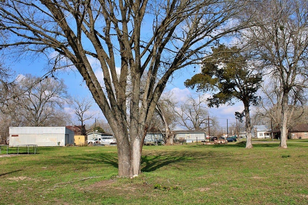 0.49 acres in Colorado County - photo 2