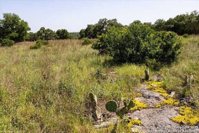 12.98 acres in Comal County - photo 20