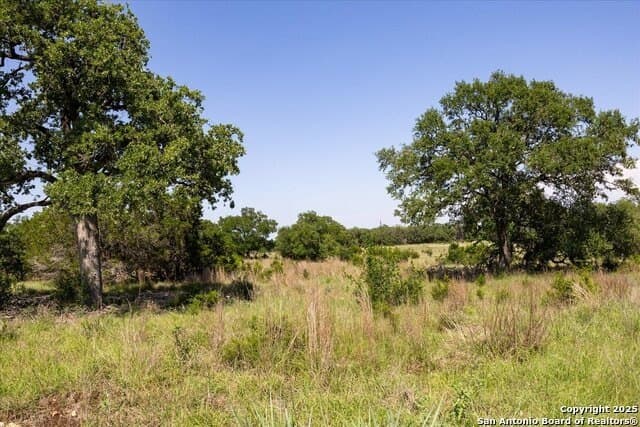 12.98 acres in Comal County - photo 13
