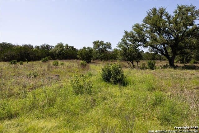 12.98 acres in Comal County - photo 23