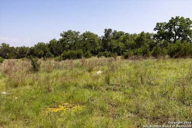 12.98 acres in Comal County - photo 3