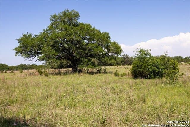 12.98 acres in Comal County - photo 2