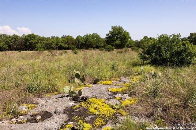 12.98 acres in Comal County - photo 19