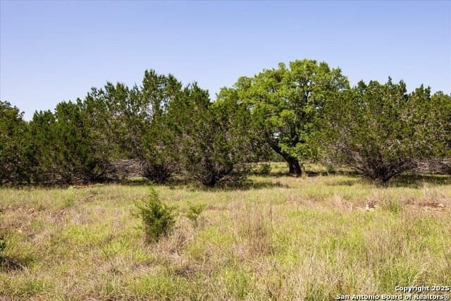 12.98 acres in Comal County - photo 11