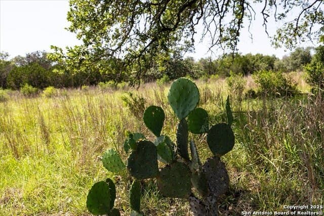 12.98 acres in Comal County - photo 16