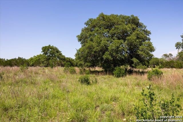 12.98 acres in Comal County - photo 15