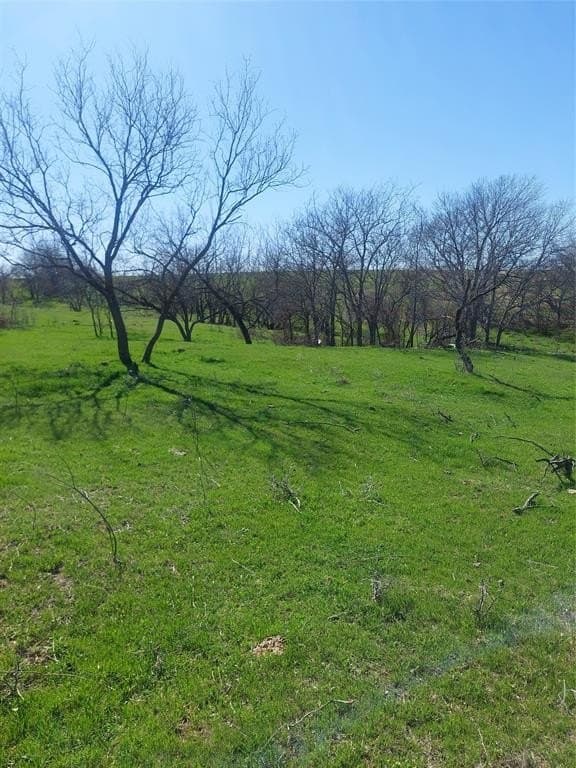 10.51 acres in Hill County - photo 2