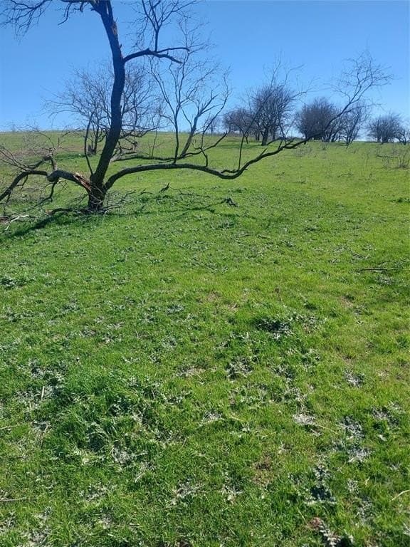 10.51 acres in Hill County - photo 5