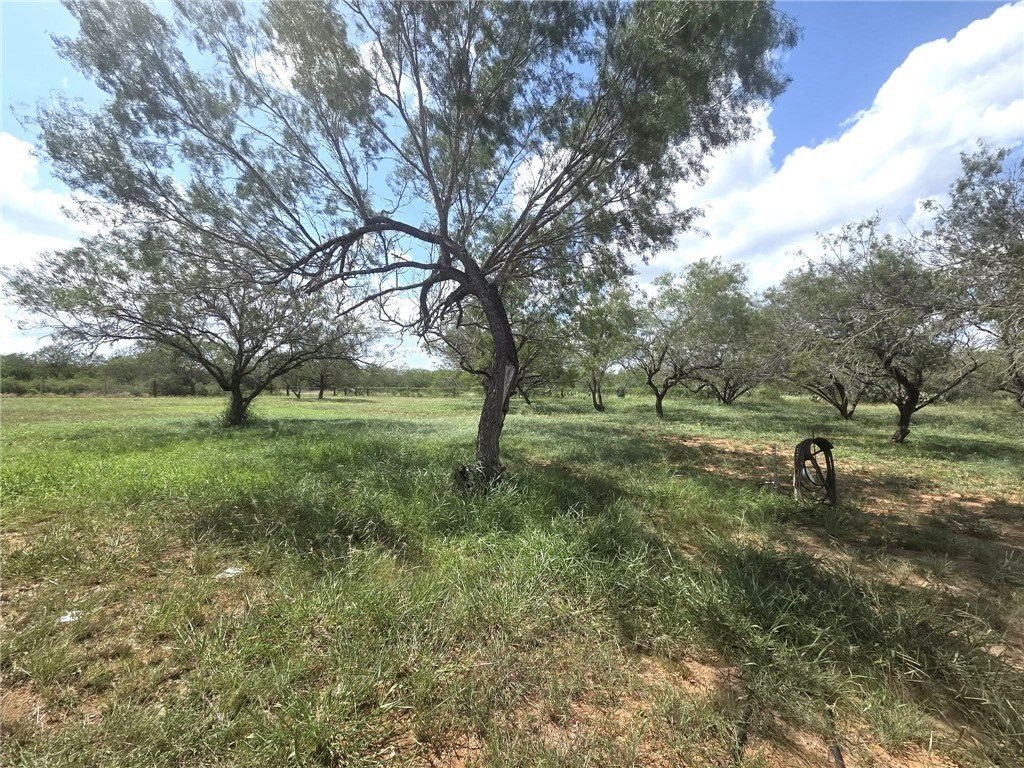 12 acres in Duval County - photo 6