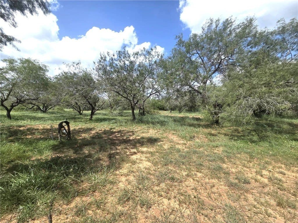 12 acres in Duval County - photo 11