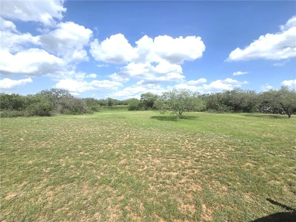12 acres in Duval County - photo 8